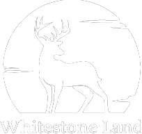 logo mobile